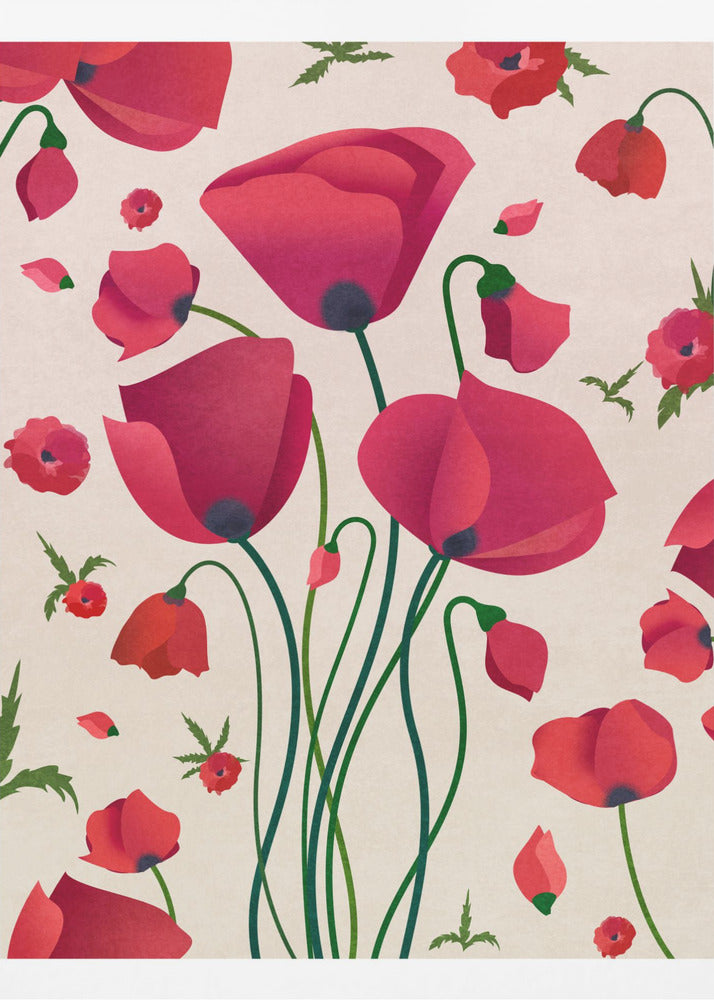 Poppy Blossoms | Poster