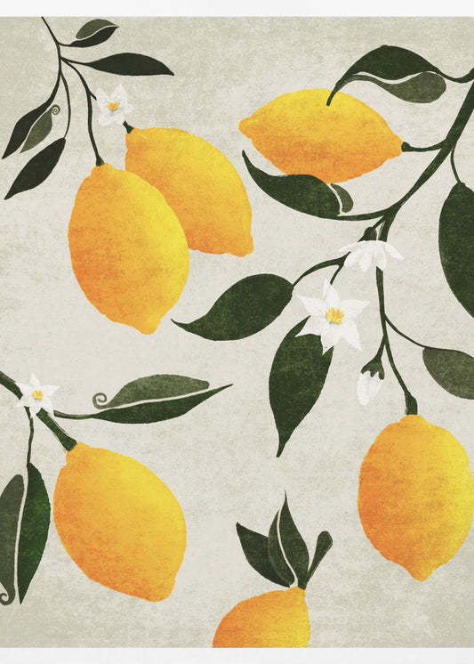 Citrus Symphony | Poster