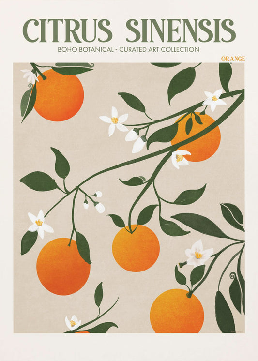 Orange Elegance | Canvas