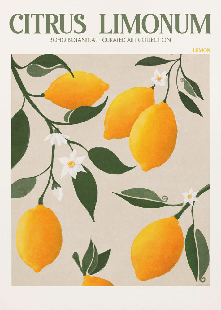 Golden Citrus Delight | Canvas