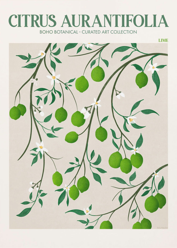 Botanical Lime Bliss | Poster