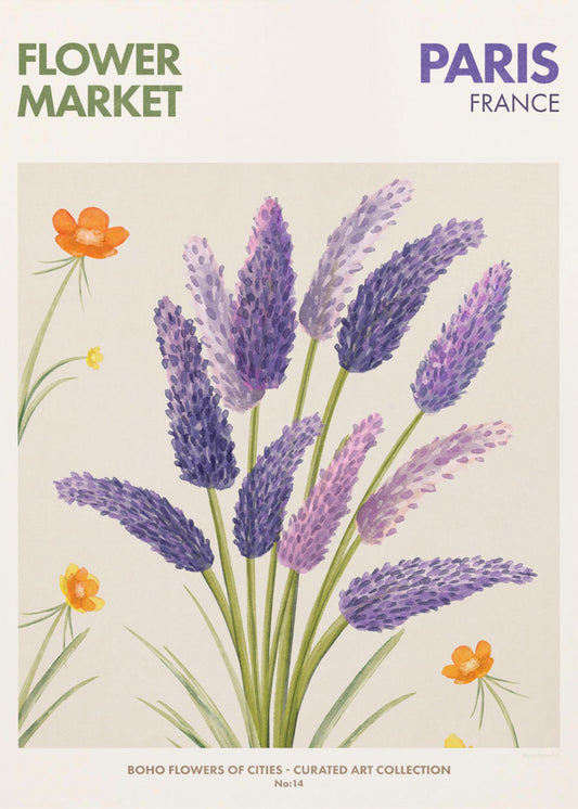 Lavender Blooms | Canvas