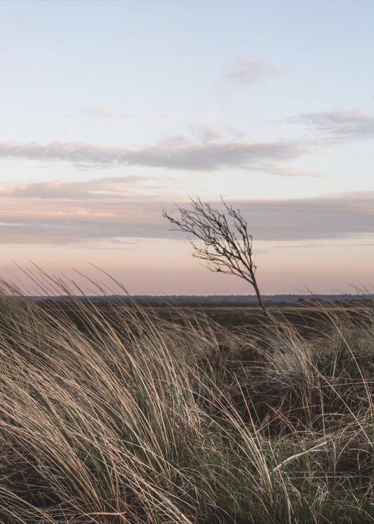 At the Coast 4 | Poster