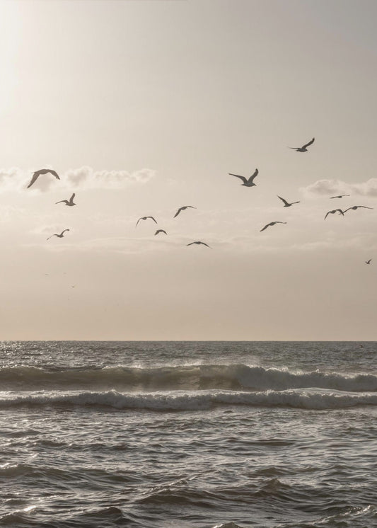 Birds and the Sea 3 | Poster
