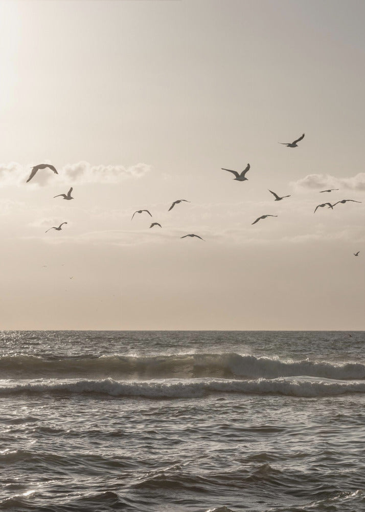 Birds and the Sea 3 | Canvas