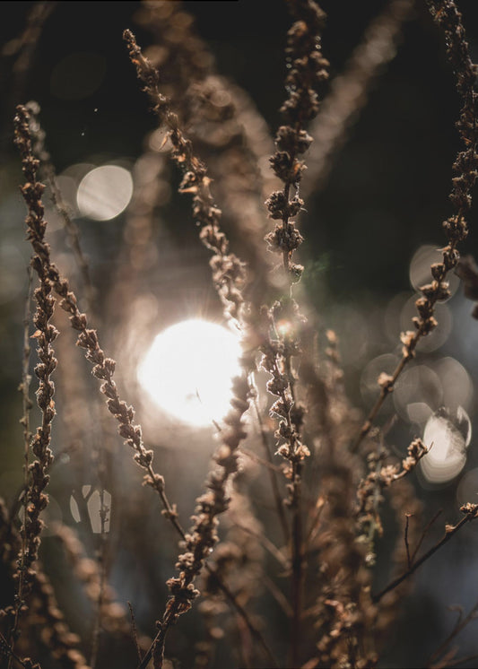 Natural Sparkle 2 | Poster