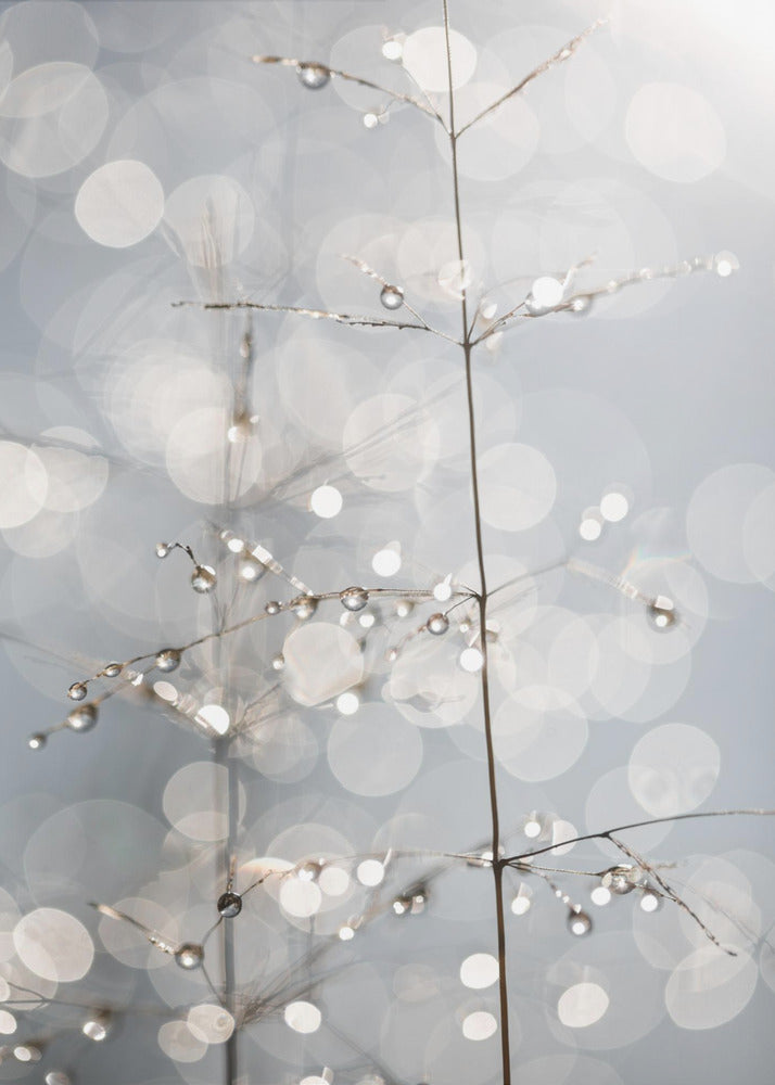 Natural Sparkle | Poster