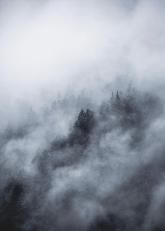 Foggy Morning 3 | Canvas