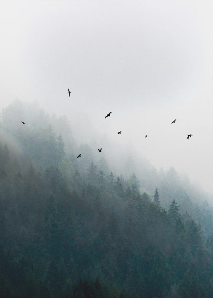 Foggy Morning 4 | Canvas