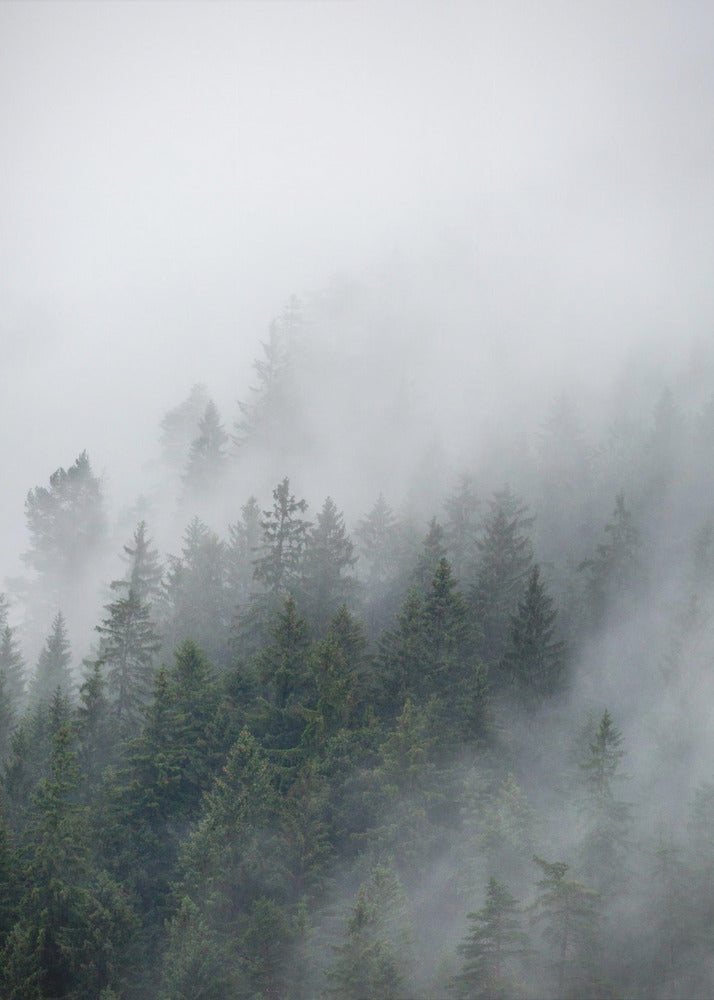 Foggy Morning 2 | Poster