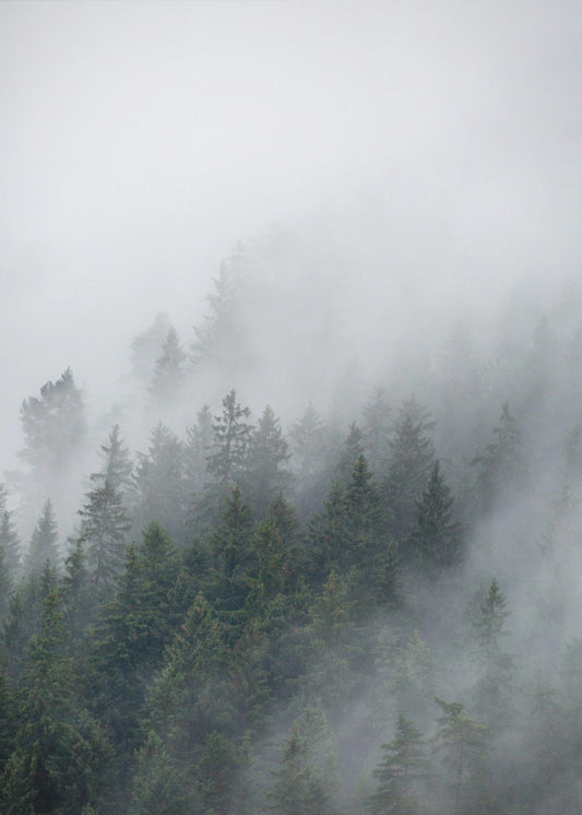 Foggy Morning 2 | Poster