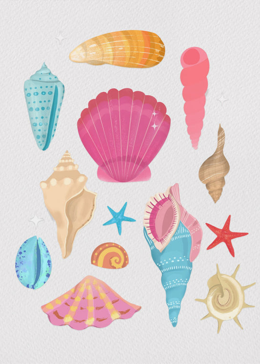 Seashells | Canvas