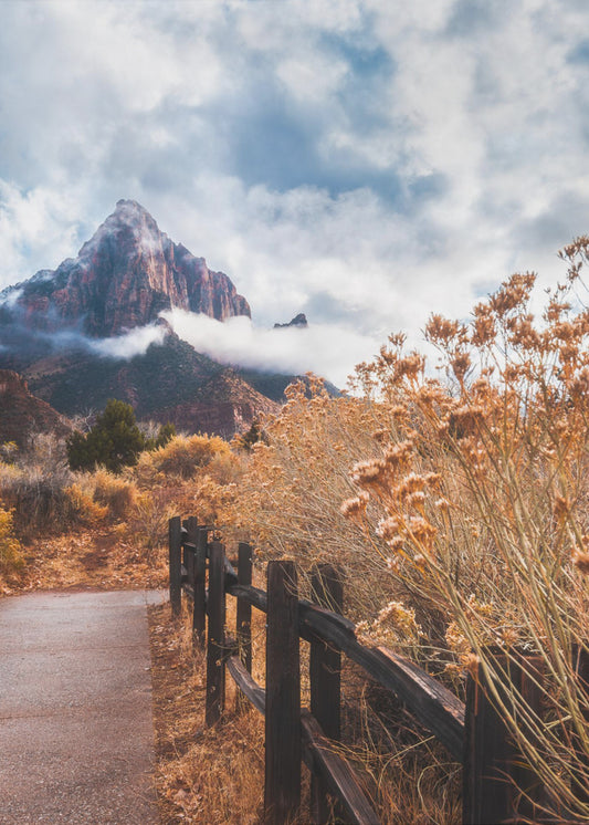 The trail to the rock | Poster