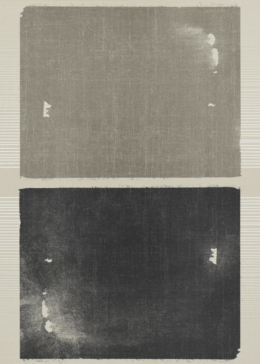 The Taupe Proposal | Poster