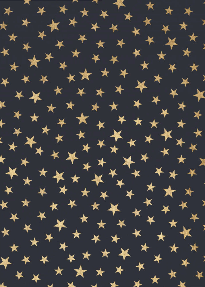 Stardust At Midnight | Poster