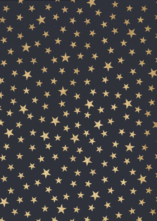 Stardust At Midnight | Poster