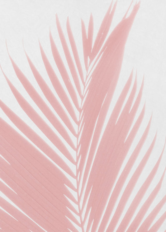 Pink Palm Leaves Silhouette | Canvas