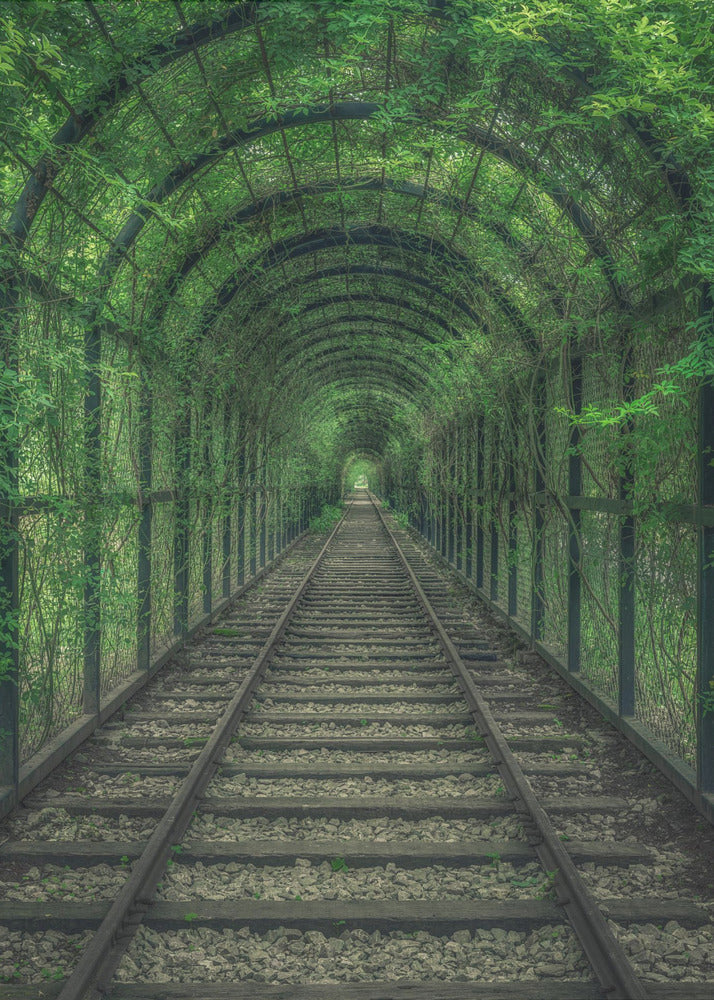 Green Tunnel | Canvas