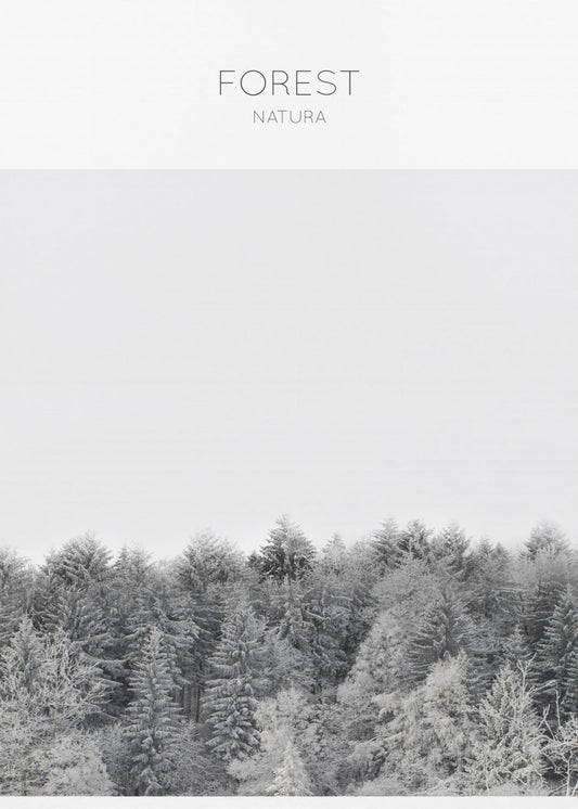 Frosted Tranquility | Canvas