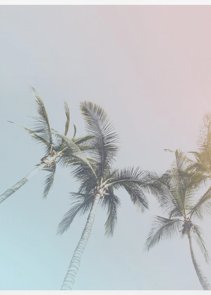 Pastel Palms Bliss | Canvas
