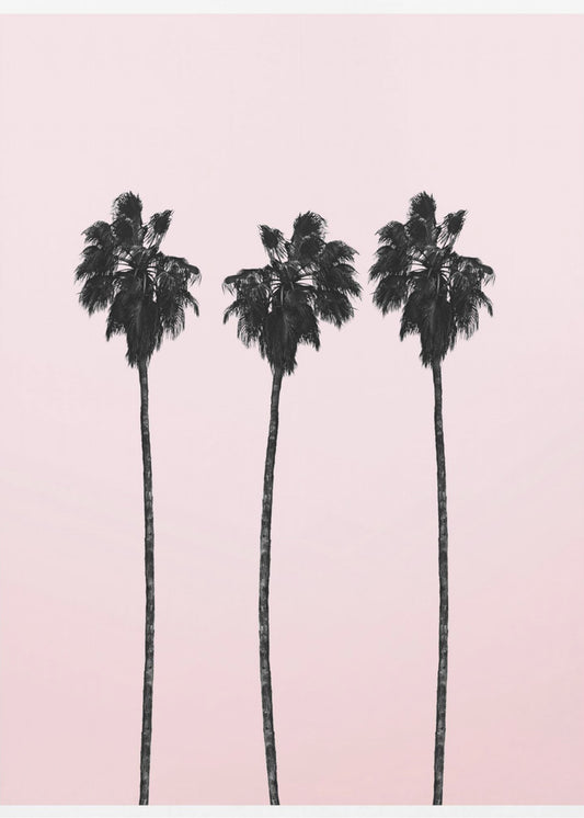 Three Tall Palms | Poster
