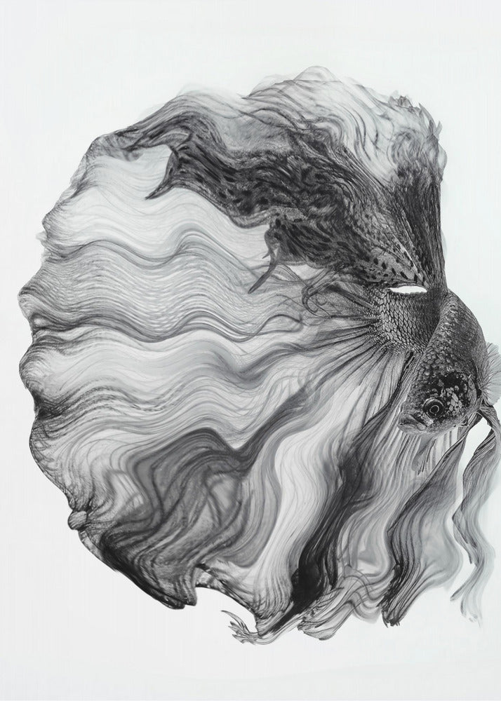 INK BETTA | Poster