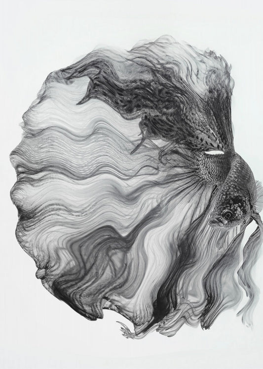 INK BETTA | Poster