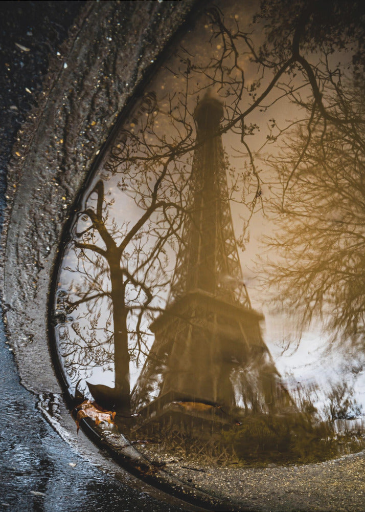 Eiffel tower reflection | Poster