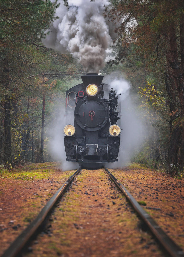 Through the autumn forest | Poster