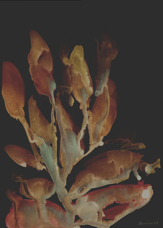 Night Plant | Poster
