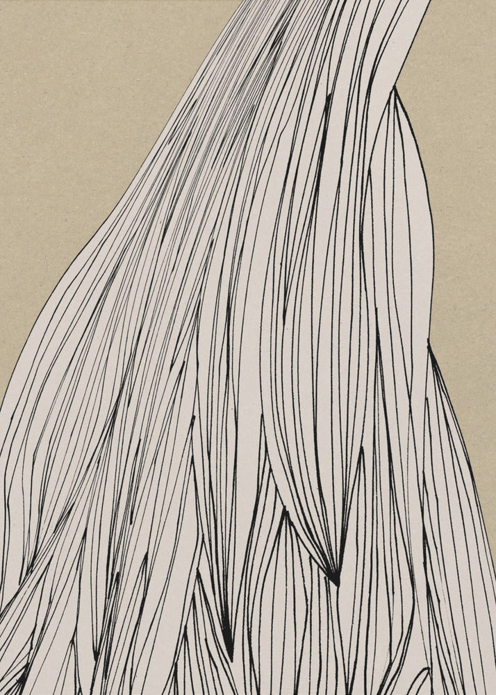 Home Set No3 | Canvas