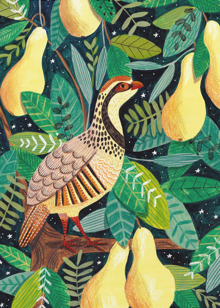 Partridge in a pear tree | Canvas
