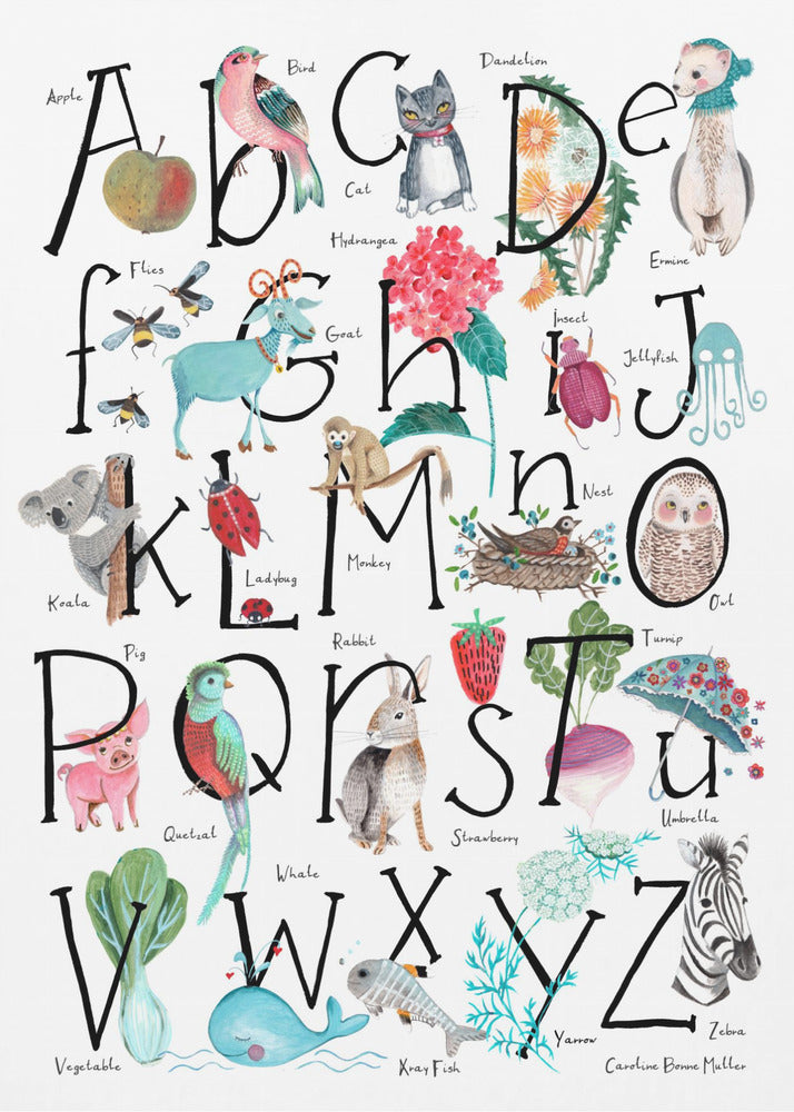 ABC illustration | Canvas