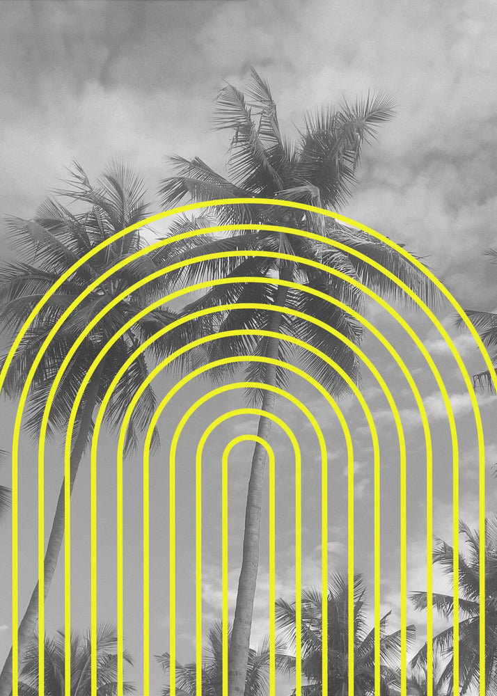 Tropical Echoes | Canvas