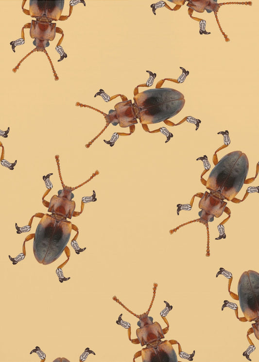 Billy The Booted Beetle | Canvas