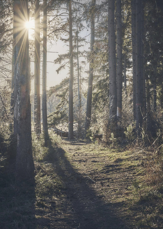 Dsf2913 Hdr 1 | Canvas