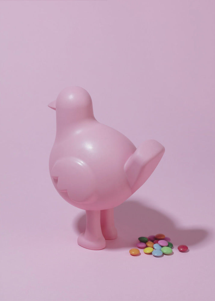 Bird delights | Poster