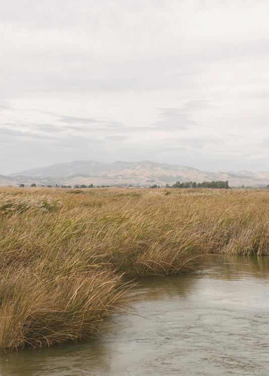 Marshland No.2 | Canvas