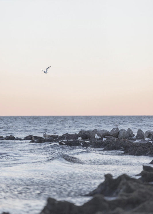 Coast Landscapes 5 | Poster