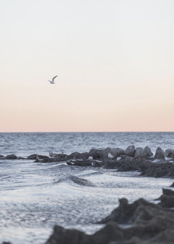 Coast Landscapes 5 | Canvas