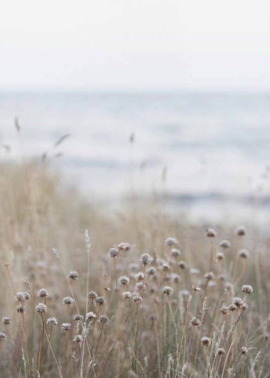 Coast Landscapes 4 | Canvas