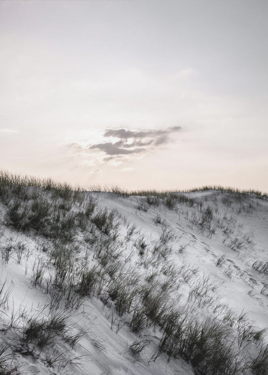 At The Coast | Canvas