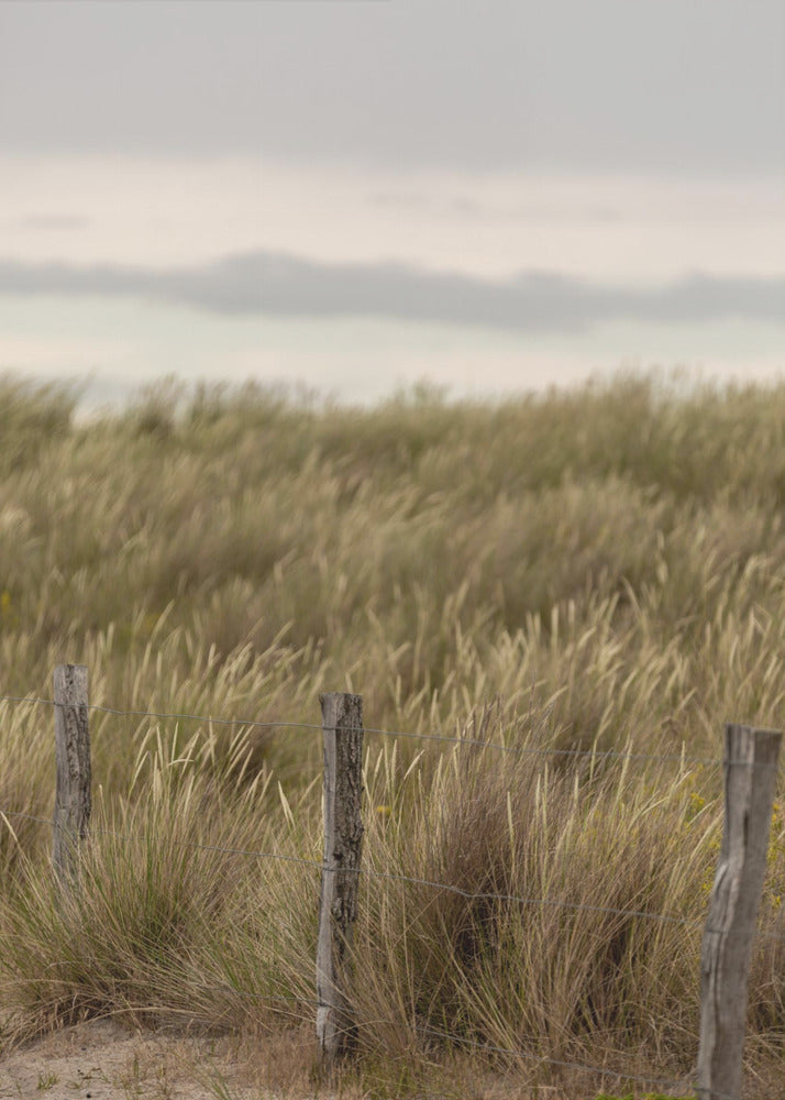 Coast Landscapes 1 | Poster