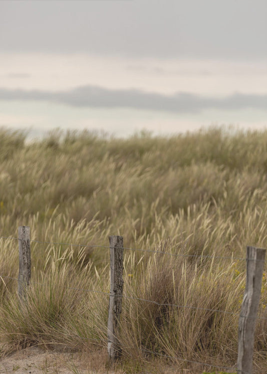 Coast Landscapes 1 | Canvas