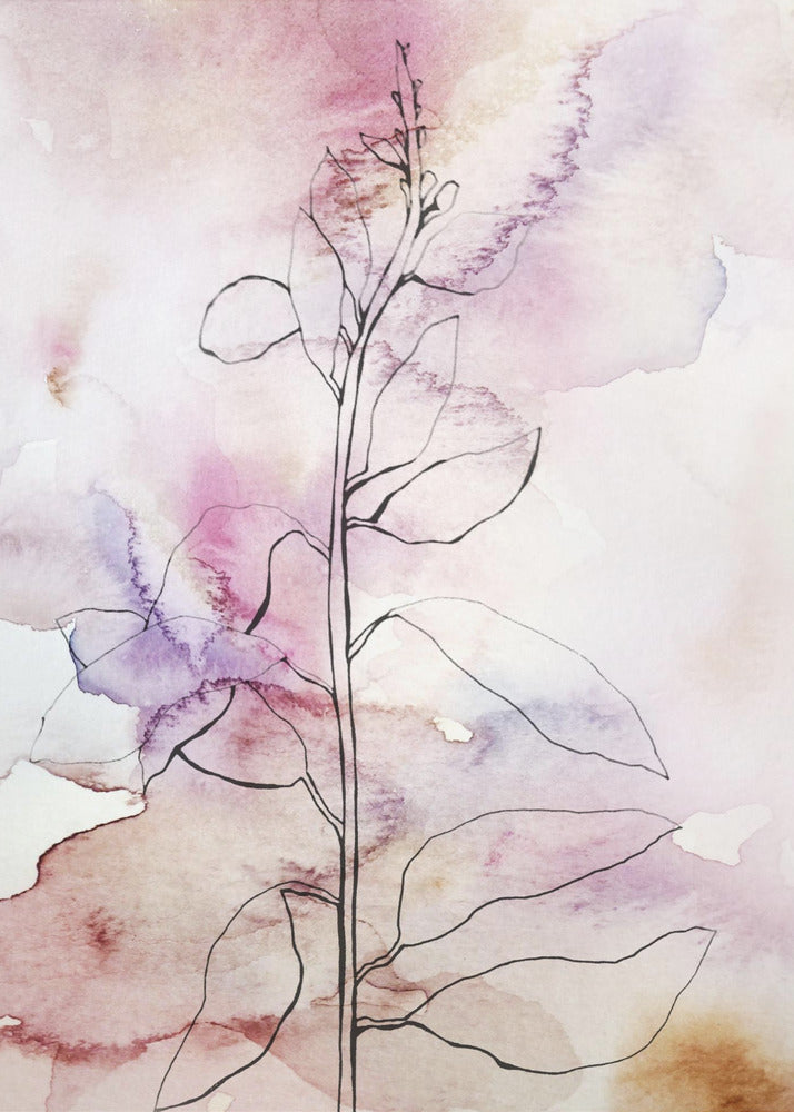 Whisper Petals II | Canvas