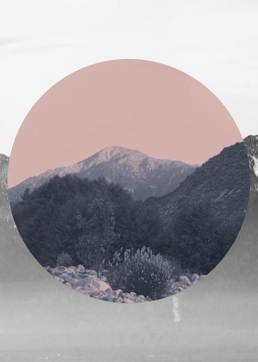 Shapes In Nature II | Poster