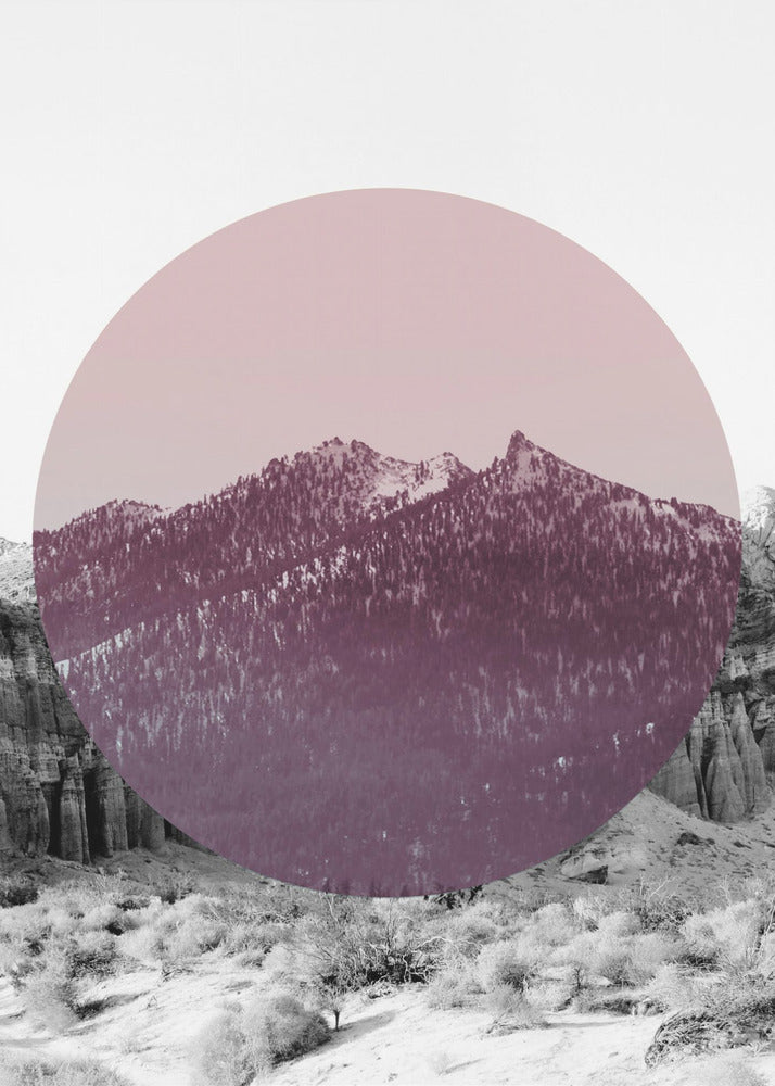 Shapes In Nature I | Poster