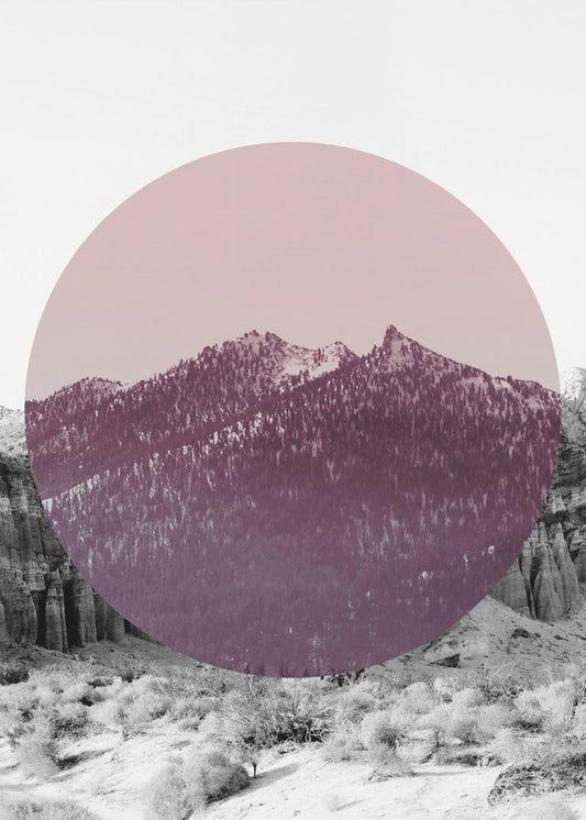 Shapes In Nature I | Poster