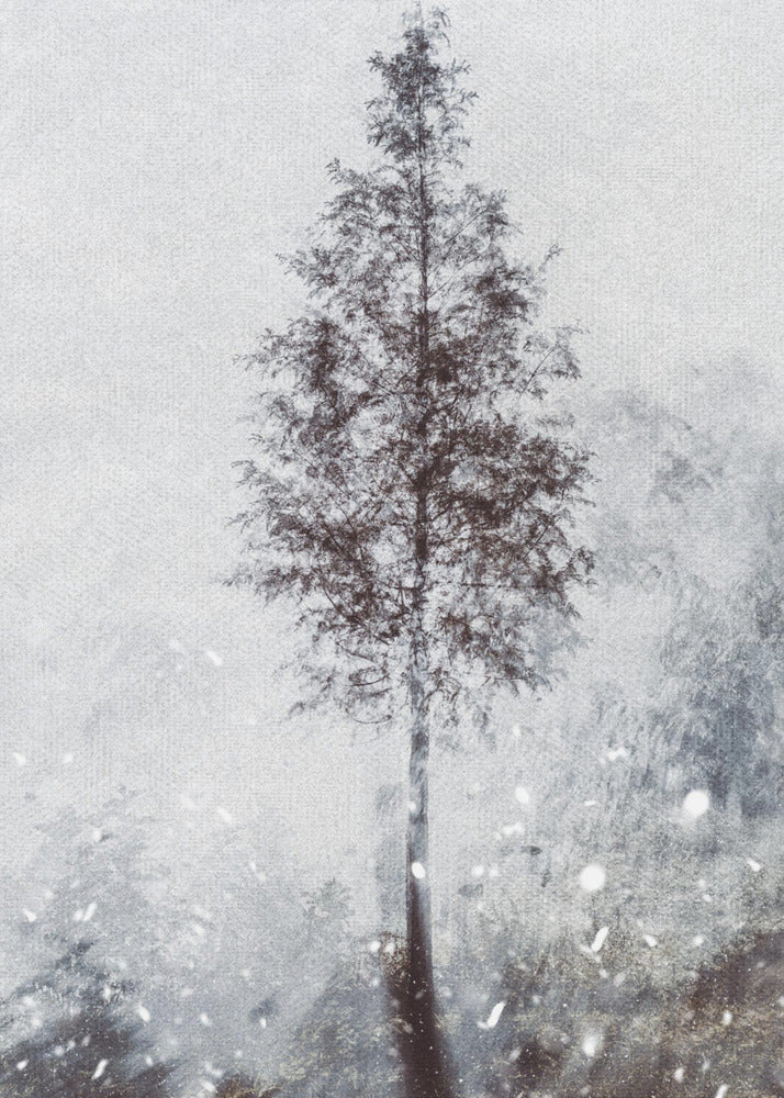 Woven natural dreams | Poster