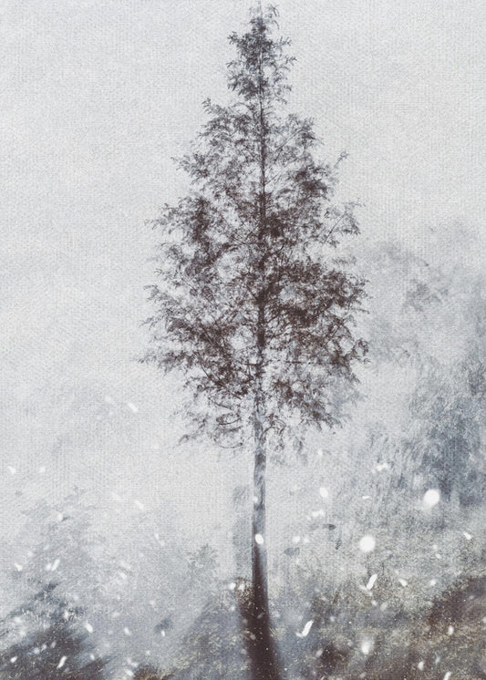 Woven natural dreams | Canvas